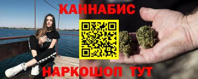 спиды Гай
