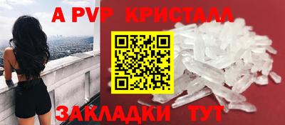 спиды Гай