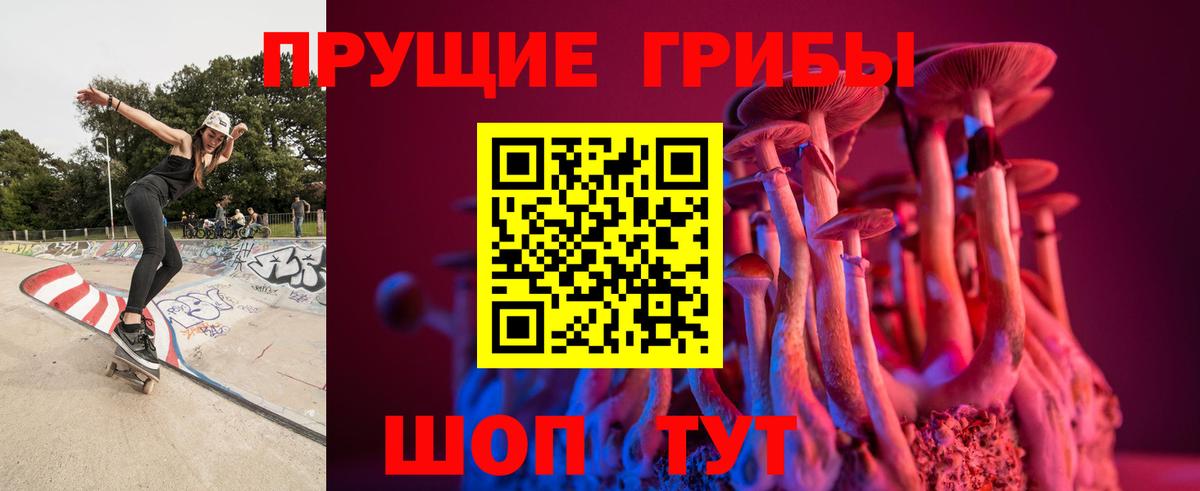 Псилоцибиновые грибы Cubensis  Псилоцибиновые грибы мицелий  Ликино-Дулёво  Вход с VPN 